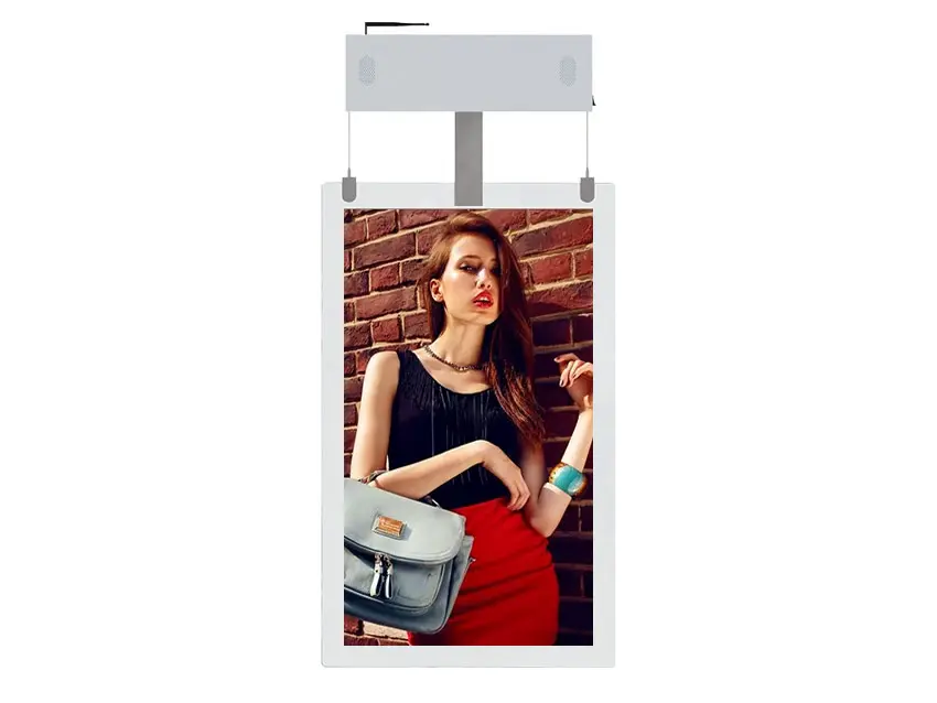 Digital Window Display